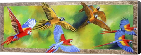 Framed Parrot Party Print