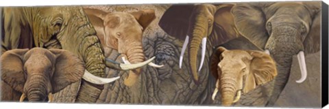 Framed Long Ele Print