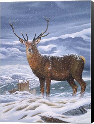 Framed Royal Scot Print