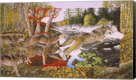 Framed Seasons Of The Wolf Print