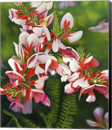 Framed Small Pink Print