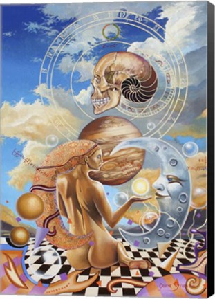 Framed Sphenoid Evolution Print