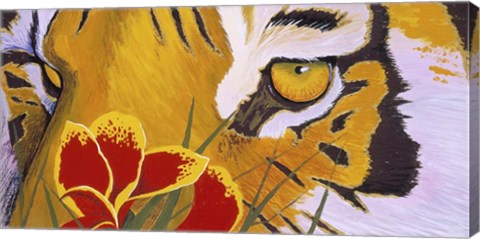 Framed Tiger Eye Print