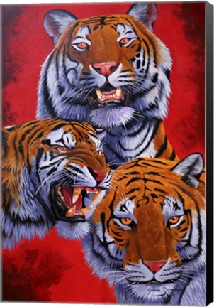 Framed Tigers Print