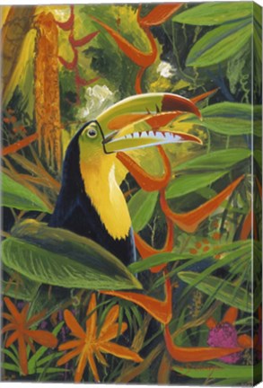 Framed Toucan Colors Print