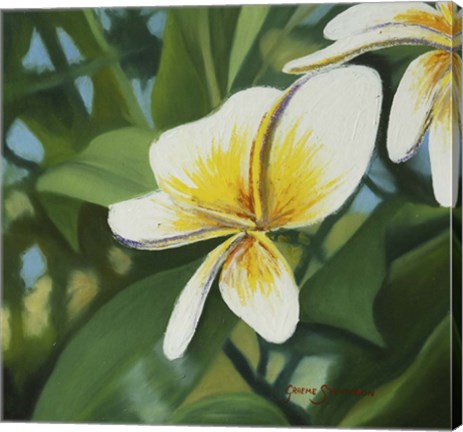 Framed Whate Frn Print