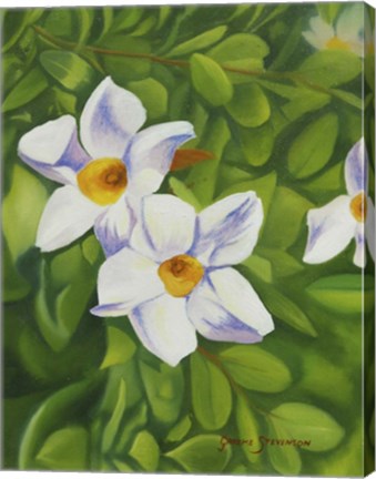 Framed White Flower Print