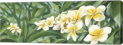 Framed White Fran Print