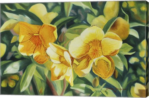 Framed Yellow Bloom Print