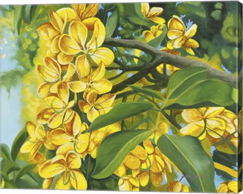 Framed Yellow Flower Print