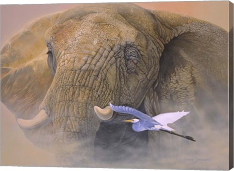 Framed Young Matriarch Print