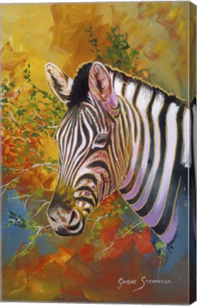 Framed Zebra Days Print