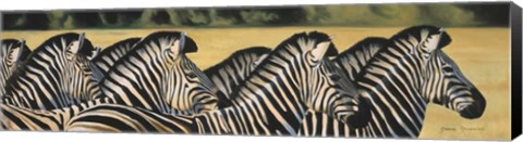 Framed Zebras Print