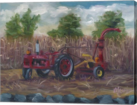 Framed On Display Print