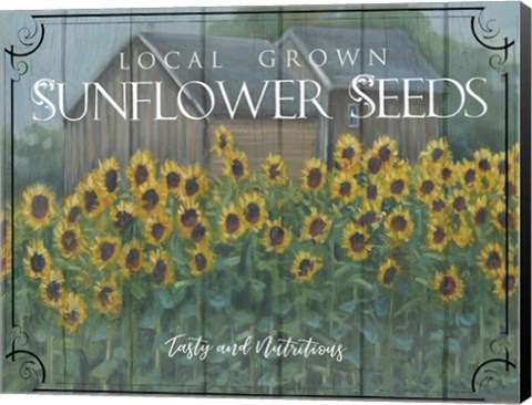 Framed Sunflower Seeds Print