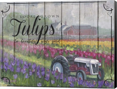Framed Tractoring Through The Tulips Print