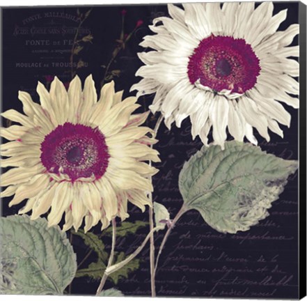 Framed Midnight Sun I Print