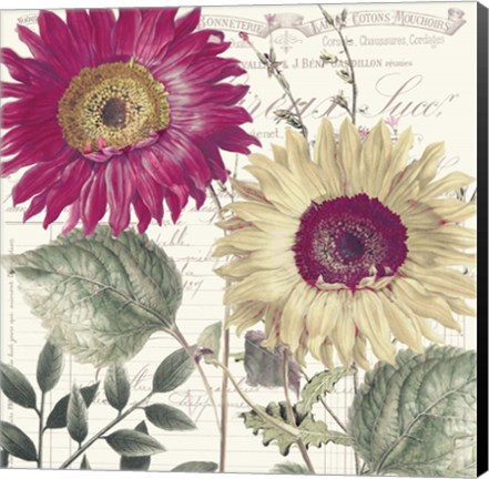 Framed Midnight Sun II Print