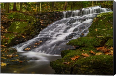 Framed Abbey Pond Cascades Print
