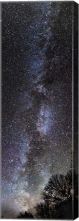 Framed Backyard Milky Way Print
