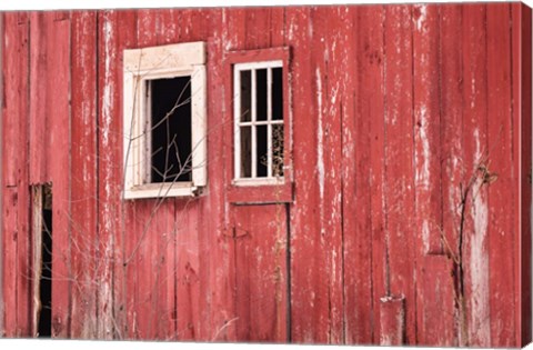 Framed Barn Windows Print