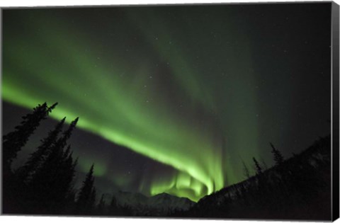 Framed Boreal Sensation Print