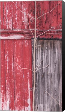 Framed Boundaries Print