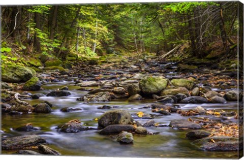 Framed Chase Brook 2 Print