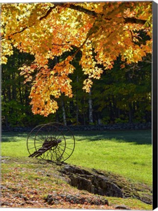 Framed Color Wheel Print