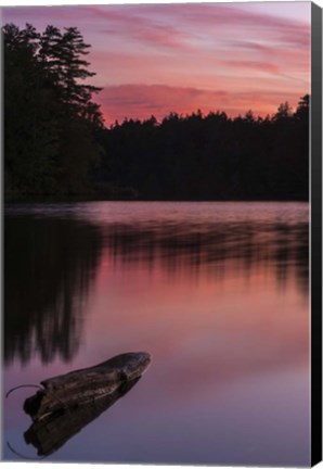 Framed Evening Reflection Print