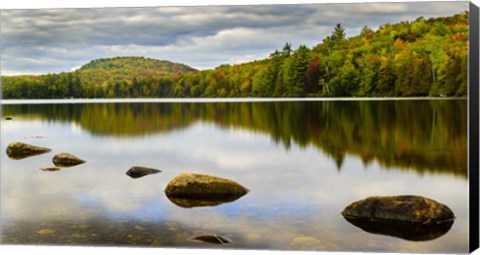 Framed Fall Reflection On Ricker Pond Print