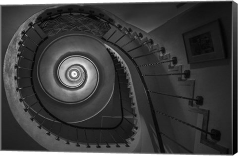 Framed Finding Fibonacci Print