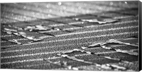 Framed Frost Lines Print