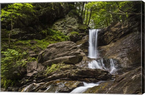 Framed Gentle Cascade Print
