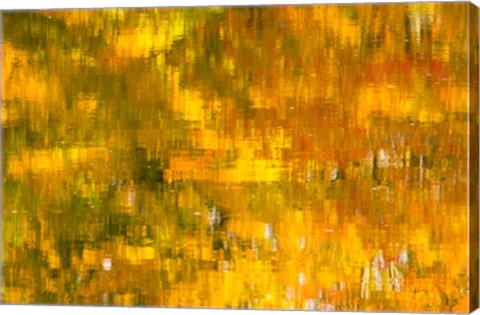 Framed Glowing Waters Print