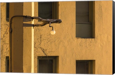 Framed Horizontal Print