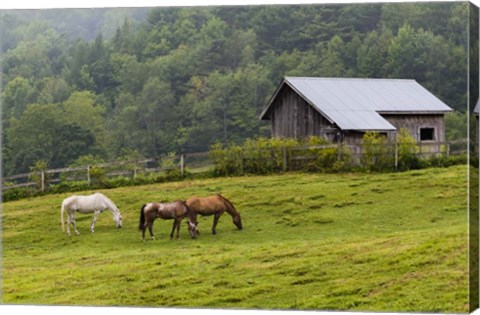 Framed Horse Farm Print