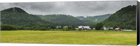 Framed Local Farm Print