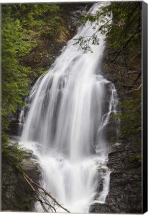 Framed Major Rush Print