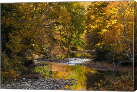 Framed Meandering Colors Print