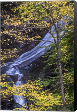 Framed Moss Glen Falls In Autumn Print