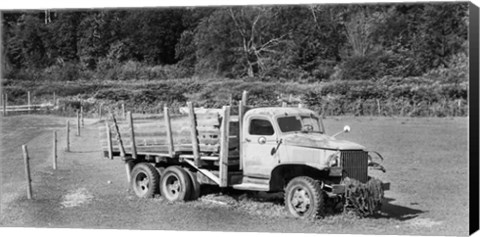 Framed Old Reliable - B&amp;W Print