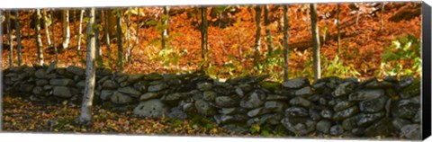Framed Old Rock Wall Print