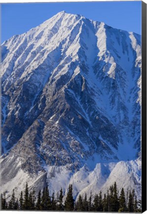 Framed Ragged Edges Print