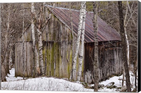 Framed Sharon Barn Print