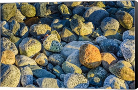 Framed Shoreline Stones Print