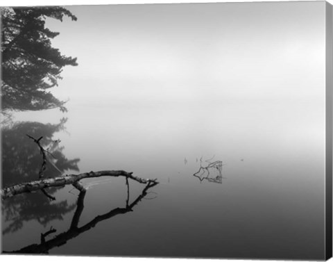 Framed Silent Morning Print