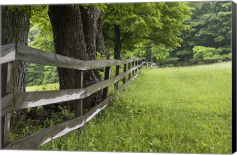 Framed Split Rail Fence Print