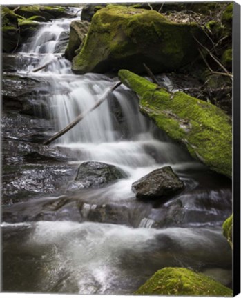 Framed Spring Waters Print