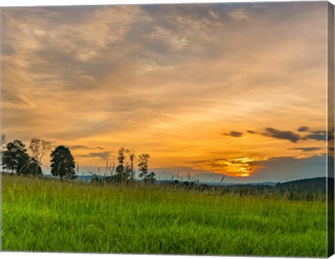 Framed Summer Light Print